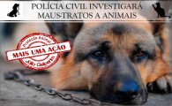 Agentes da Polícia Civil investigarão casos de maus-tratos a animais em São Leopoldo