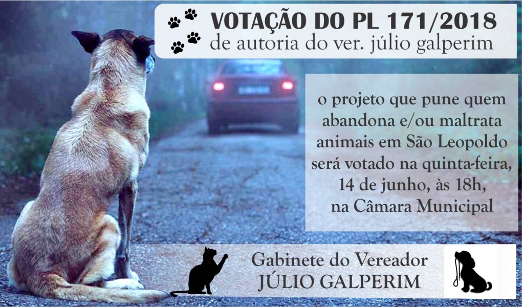 Abandono ou maus-tratos de animais poderá gerar multa de até R$ 3 mil em São Leopoldo