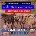 Mais de 1600 animais serão castrados em São Leopoldo através de emenda conquistada por Marcelo Dentinho