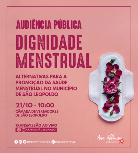 Câmara discute programa de Saúde Menstrual em São Leopoldo 