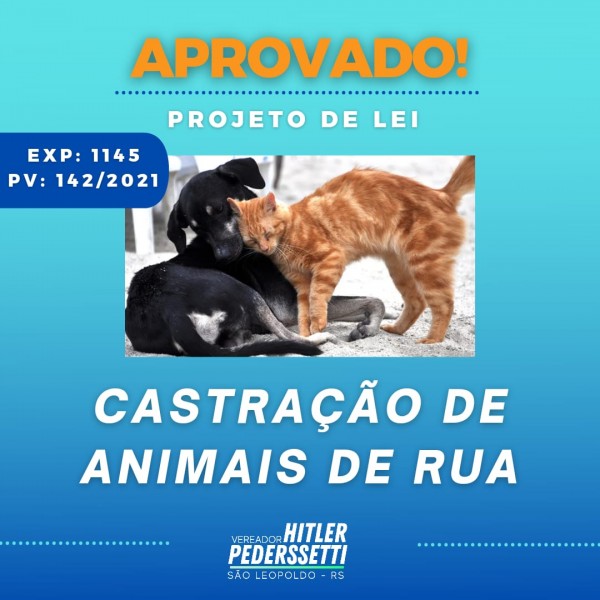 LEI DE HITLER PEDERSSETTI PARA CASTRAÇÃO DE ANIMAIS DE RUA É APROVADA!