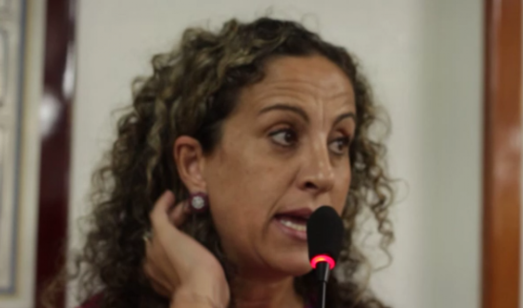 Ana Affonso utiliza tribuna para esclarecer repasses do Governo Vanazzi à APAE de São Leopoldo